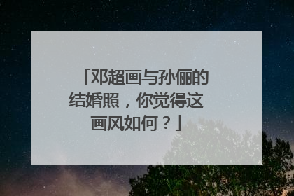 邓超画与孙俪的结婚照,你觉得这画风如何?