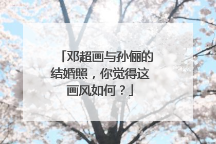 邓超画与孙俪的结婚照,你觉得这画风如何?