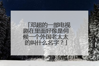 邓超的一部电视剧在里面好像是伺候一个外国老太太的叫什么名字?