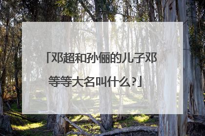 邓超和孙俪的儿子邓等等大名叫什么?