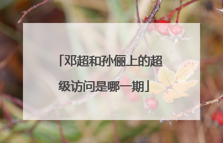 邓超和孙俪上的超级访问是哪一期