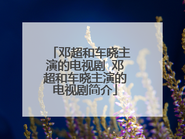 邓超和车晓主演的电视剧 邓超和车晓主演的电视剧简介