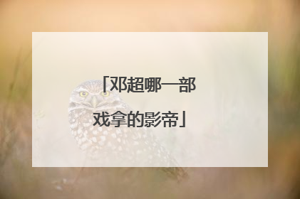 邓超哪一部戏拿的影帝