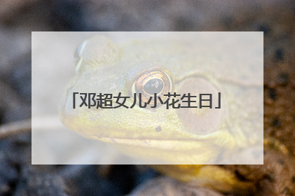 邓超女儿小花生日