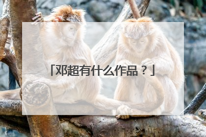 邓超有什么作品？