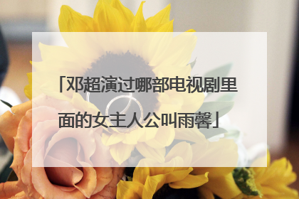 邓超演过哪部电视剧里面的女主人公叫雨馨