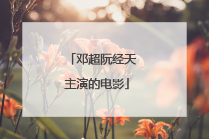 邓超阮经天主演的电影