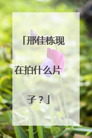 邢佳栋现在拍什么片子?