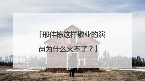 邢佳栋这样敬业的演员为什么火不了?
