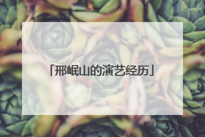 邢岷山的演艺经历