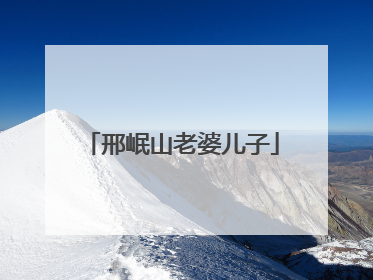 邢岷山老婆儿子