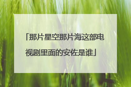 那片星空那片海这部电视剧里面的安佐是谁