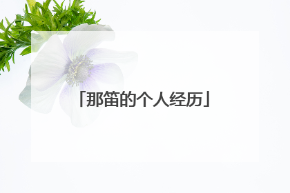 那笛的个人经历