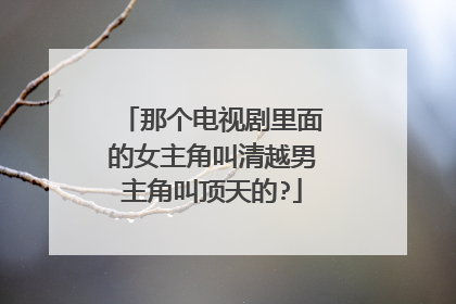 那个电视剧里面的女主角叫清越男主角叫顶天的?