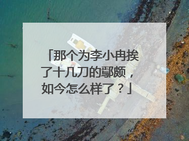 那个为李小冉挨了十几刀的鄢颇,如今怎么样了?