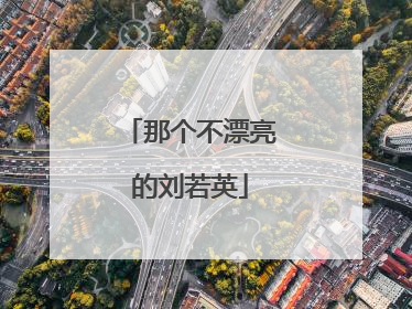 那个不漂亮的刘若英