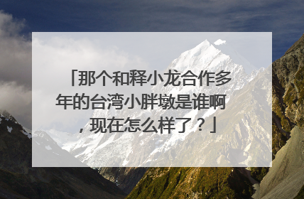 那个和释小龙合作多年的台湾小胖墩是谁啊,现在怎么样了?