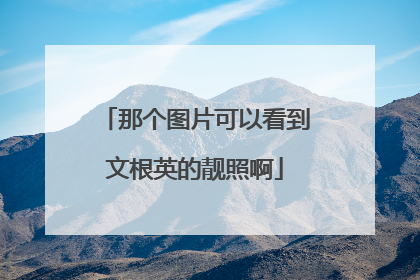 那个图片可以看到文根英的靓照啊