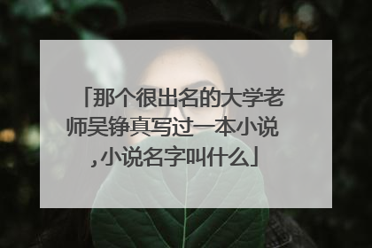 那个很出名的大学老师吴铮真写过一本小说,小说名字叫什么