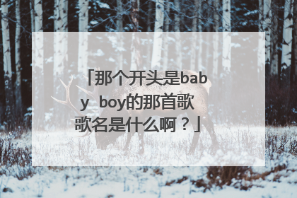 那个开头是baby boy的那首歌歌名是什么啊？