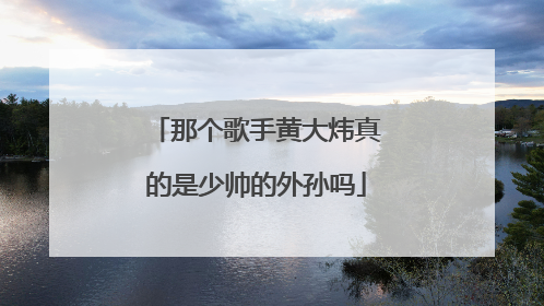 那个歌手黄大炜真的是少帅的外孙吗