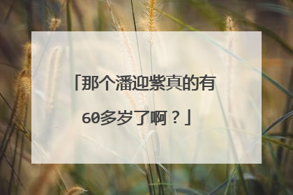 那个潘迎紫真的有60多岁了啊？