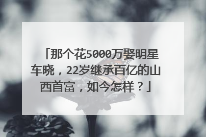 那个花5000万娶明星车晓,22岁继承百亿的山西首富,如今怎样?