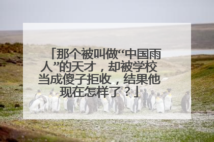 那个被叫做“中国雨人”的天才,却被学校当成傻子拒收,结果他现在怎样了?