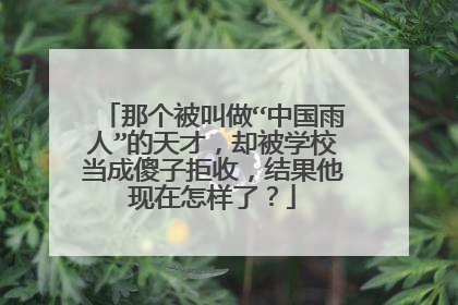 那个被叫做“中国雨人”的天才，却被学校当成傻子拒收，结果他现在怎样了？