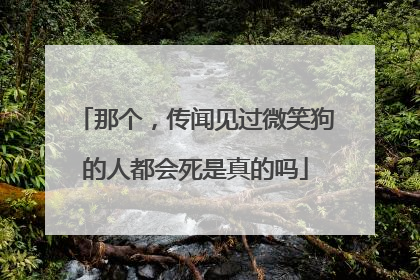 那个，传闻见过微笑狗的人都会死是真的吗