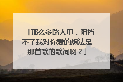 那么多路人甲,阻挡不了我对你爱的想法是那首歌的歌词啊?