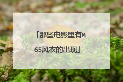那些电影里有M65风衣的出现