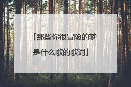 那些你很冒险的梦是什么歌的歌词