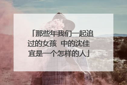 那些年我们一起追过的女孩 中的沈佳宜是一个怎样的人