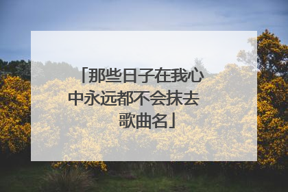 那些日子在我心中永远都不会抹去   歌曲名