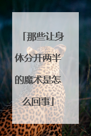 那些让身体分开两半的魔术是怎么回事