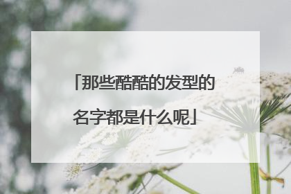 那些酷酷的发型的名字都是什么呢
