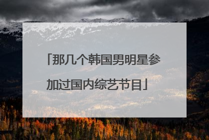那几个韩国男明星参加过国内综艺节目