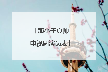那小子真帅 电视剧演员表