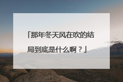 那年冬天风在吹的结局到底是什么啊？