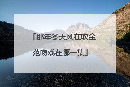 那年冬天风在吹金范吻戏在哪一集
