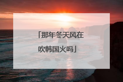 那年冬天风在吹韩国火吗