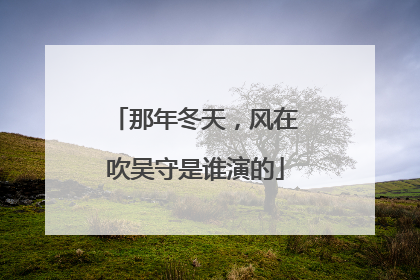 那年冬天,风在吹吴守是谁演的