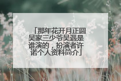 那年花开月正圆吴家三少爷吴遇是谁演的，扮演者许诺个人资料简介