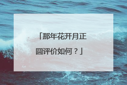 那年花开月正圆评价如何？