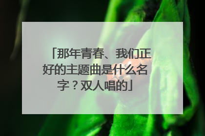 那年青春、我们正好的主题曲是什么名字？双人唱的