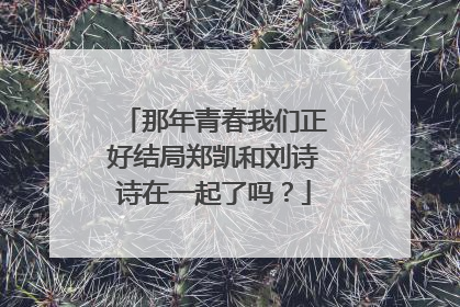 那年青春我们正好结局郑凯和刘诗诗在一起了吗?