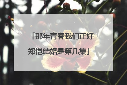 那年青春我们正好郑恺结婚是第几集