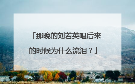 那晚的刘若英唱后来的时候为什么流泪？
