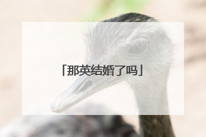 那英结婚了吗